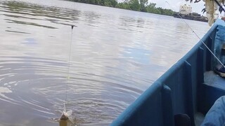 #mancing..... #PemburuGalah