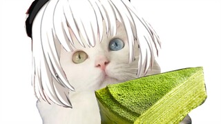 【mygo中字】猫日猫诞生