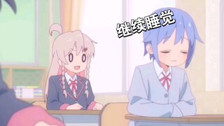 睡觉哥的日常