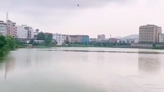 卧槽，这个我能玩一年