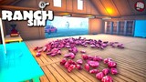 Stacks Of Meat | Ranch Simulator Gameplay | Part 15