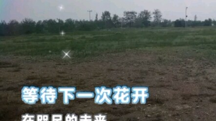 Giai đoạn vỡ giọng đã cướp đi bao nhiêu giấc mơ của các chàng trai?