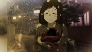 The past and present of Yukichi Cat, how did this cat grow so big!!