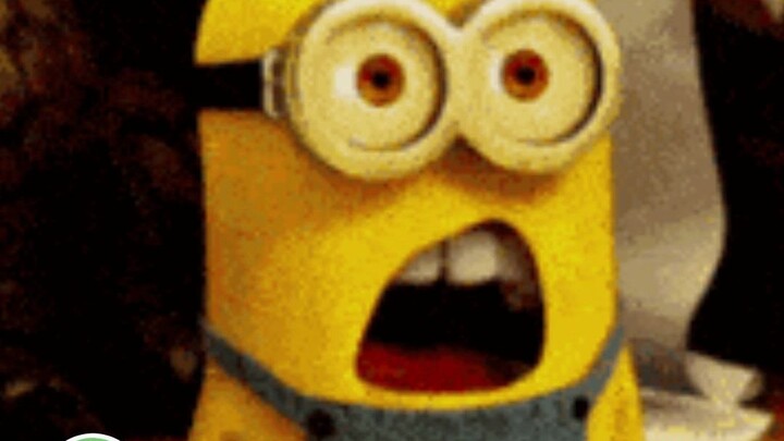 Các bạn còn nghe những câu nói gây sốc nào từ bà mối nữa không! #GiảiThưởngBìnhLuậnGiảiTrí #HàiHước 