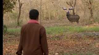 Cid season 2 full episode 23 in hd 2025