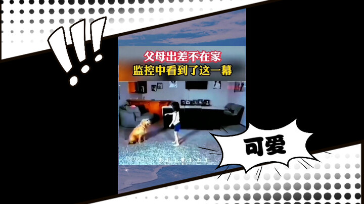 Anjing: Teman baik yang menenangkan, hidupku jadi lebih indah berkatmu!