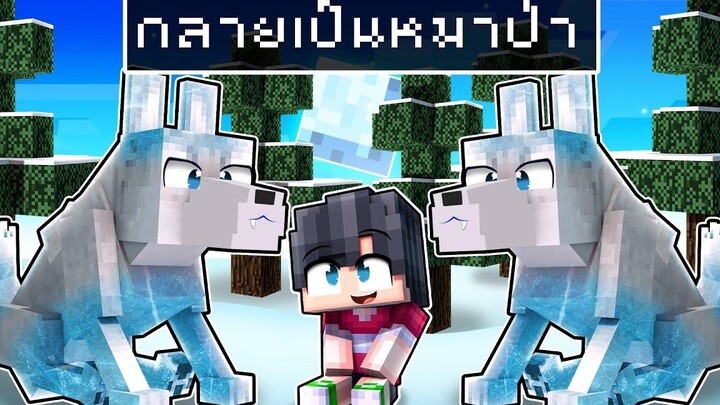 🏠เมืองหรรษา ตอน ดีซีโร่กลายเป็นหมาป่า Minecraft สตอรี่