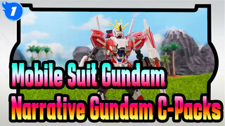 [Mobile Suit Gundam/Repost] Narrative Gundam C-Packs_1