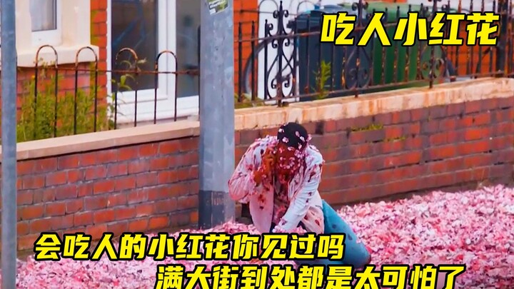 A Little Red Flower crisis has erupted in the city—anyone who encounters it gets bitten all over the