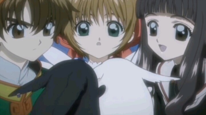 The Sakura Wolves from two different worlds finally meet