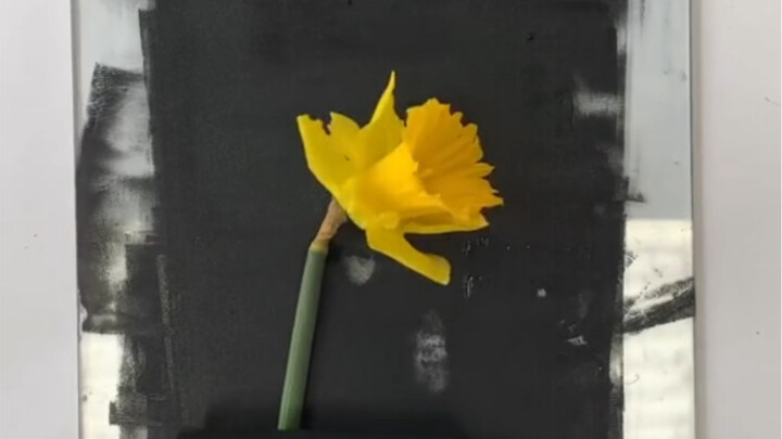How to get a flower quickly