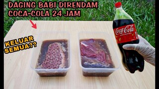 TERBUKTI: DAGING BABI DISIRAM COCA-COLA, Ternyata seperti ini [perbandingan dengan daging Sapi]