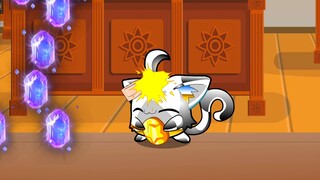 44.逗猫去的，被猫逗飞了