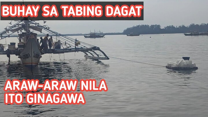 BUHAY SA TABING DAGAT