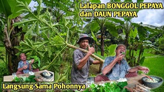 Mantap,, Lalapan Batang Pepaya, Daun Pepaya, Beuleum Asin Lamuru, Sambel Kacang, Masakan Kampung