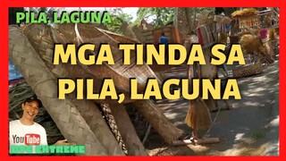 NATIVE HANDICRAFTS, FRUITS, BONSAI STORES in Pila, Laguna | What to Buy