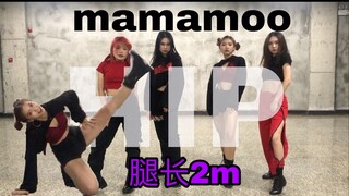 [Dây cáp] Nhảy hông dài 2 mét, cao bằng cú đá che chắn