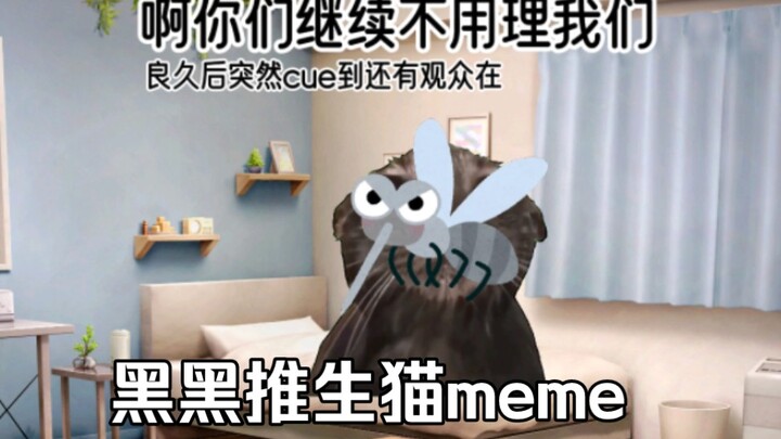 【猫meme】黑黑推生前中后的心路历程