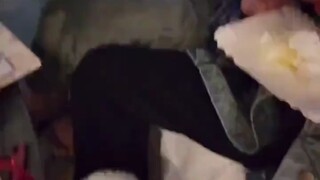 “有更温柔的擦法”童锦程