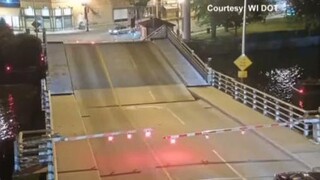 ตัวอย่างที่ชัดเจนของการคัดเลือกโดยธรรมชาติ