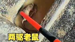 Two-wheel drive mouse is the classic