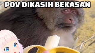 Meme Kocak yang Aku Temukan di Kebon