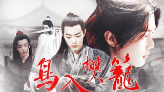 鸟入樊笼丨 中集  冰肌玉骨..说的就是魏世子这般吧..../暗黑向 强制慎入 染三 双影羡 肖战水仙