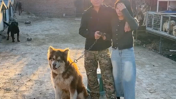 Pan Hong: The Difference Between “66” and “@” (Mentioning Someone)