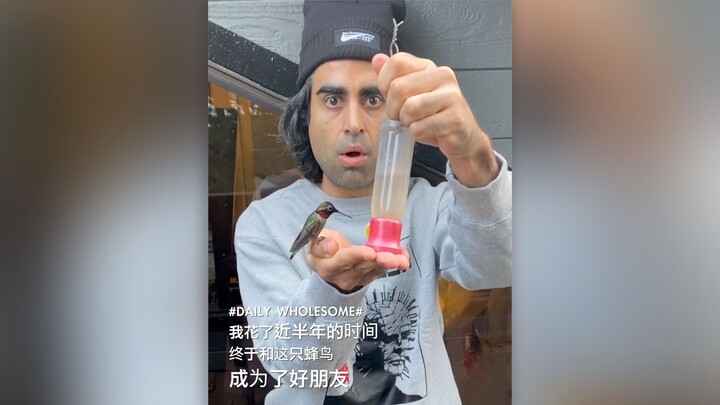 After nearly half a year, I finally became best friends with this hummingbird!