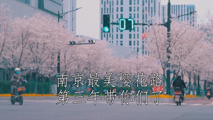 أزهار ترفرف، ثلوج تلمع، وقمر يسطع كأغنية متألقة