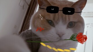 أنت لطيف جدًا، لكنك لا تستطيع أن تقع في الحب