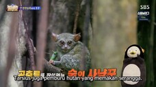 Law Of The Jungle In Sunda Island Sub Indo Eps 10