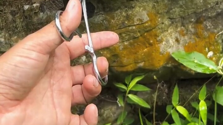 “Tái Phát Loại Bỏ” 2