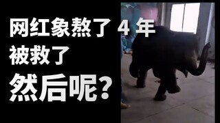 [Anak] Gajinya cuma rumput, hewan dilindungi kelas satu dipakai sebagai trainee, kenapa "pertunjukan