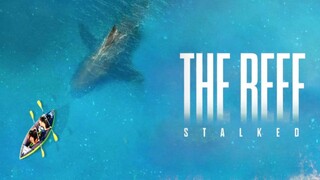 The Reef_ Stalked - 2022 - sub indo