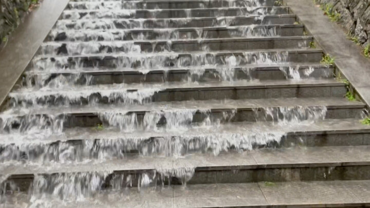 武大的水都是上进的水!!(视频是不能p的）