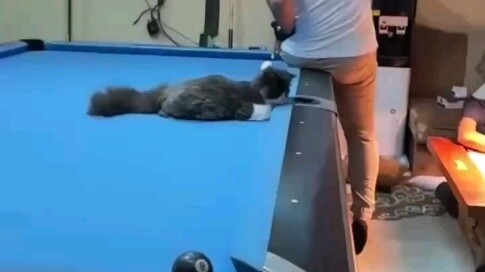 Even Ding Junhui is baffled!