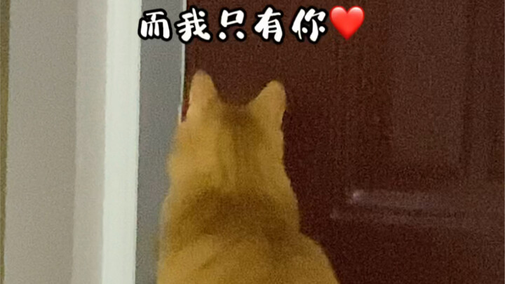 Hancur hati… Gak kebayang gimana rasanya pas mereka pergi… Makanya, sayangi mereka setiap hari, ya!