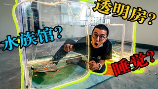 صنعت حوض سمك للنوم، وما إن أفتح عيني حتى أرى الأسماك تسبح أمامي مباشرة!