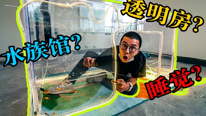 ฉันสร้างพิพิธภัณฑ์สัตว์น้ำเพื่อใช้นอน แค่ลืมตาขึ้นมาก็เห็นปลาแหวกว่ายอยู่ตรงหน้าเลย!