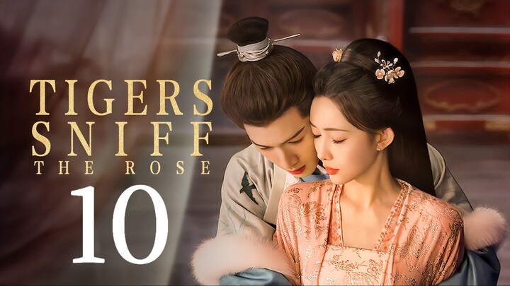 🇨🇳EP. 10 𝚃𝙸𝙶𝙴𝚁𝚂 𝚂𝙽𝙸𝙵𝙵 𝚃𝙷𝙴 𝚁𝙾𝚂𝙴 (2026) | ENG SUB | Historical/Romance/Drama
