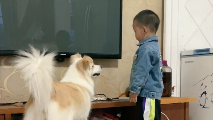 Tình bạn của Tiểu Anh Cát cũng chỉ là giả tạo thôi