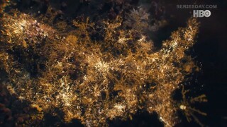 The Last of Us season 1 EP 8 พากย์ไทย