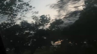 虽然心情依旧日沉重，但树梢新发的绿芽，以及两侧花坛中抽出的花骨朵，看到这样的路边美景又一次感受到了生命的力量与意义。