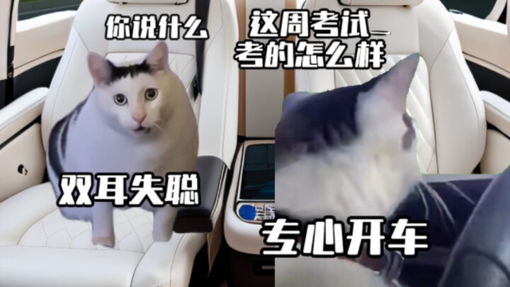 当周五老登接公主回家