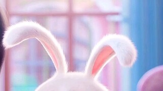 sow are you like this