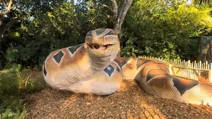 Found in the park—this is real, not AI!
