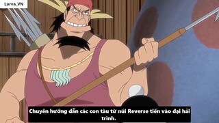 Nhiệm Vụ Cuối Cùng Của Băng Hải Tặc Roger Là Gì I 7