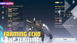 CARA FARMING ECHO RANK 5 DAN EXP TERMINAL WUTHERING WAVES