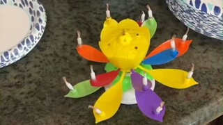 Khi người nước ngoài lần đầu tiên gặp "nến sinh nhật hoa sen": Làm thế nào để cái này dừng lại đây?